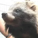 かずえ　すみれ工房