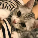こうえい