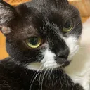 うきゅ太郎