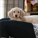 よっちん