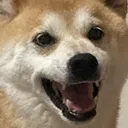 ねぎお