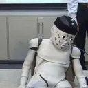 花丸あひる