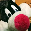 てぃうお
