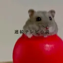 まみも