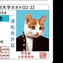 まるた