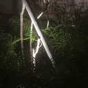 アサイチ