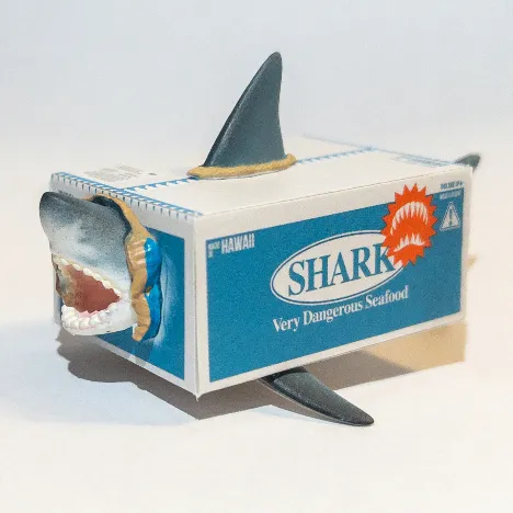 えだこ🦈🌪