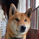 えみチカ
