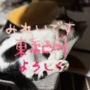 みれい⚈ ̍̑⚈ ̍̑⚈ 三重　　　　　　　　　　　東紀州グルメ