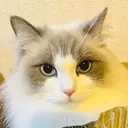 のえ
