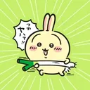 usa_momo