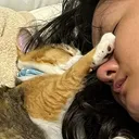 ハニコフ
