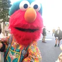カスミソウ