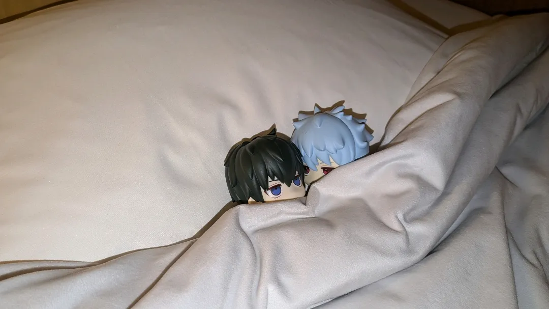 ひじぎんちゅの集い