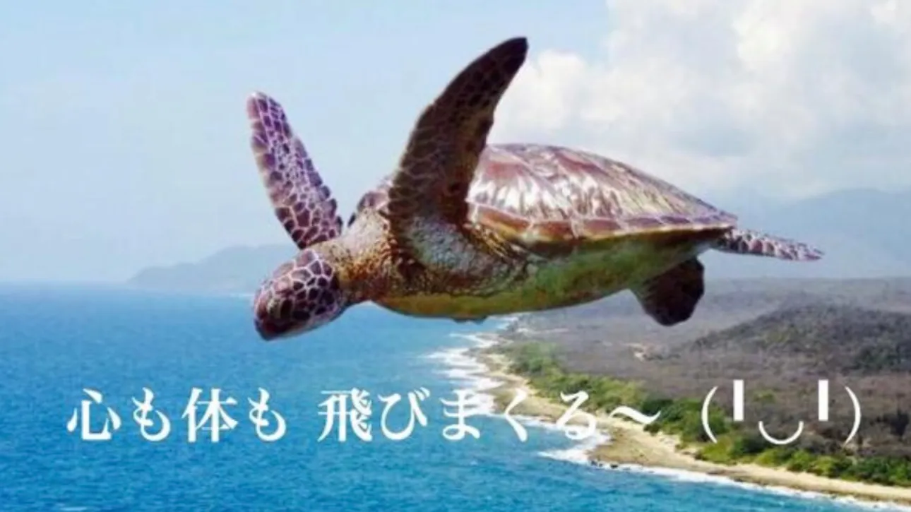 楽しい氣功(初心者向け)