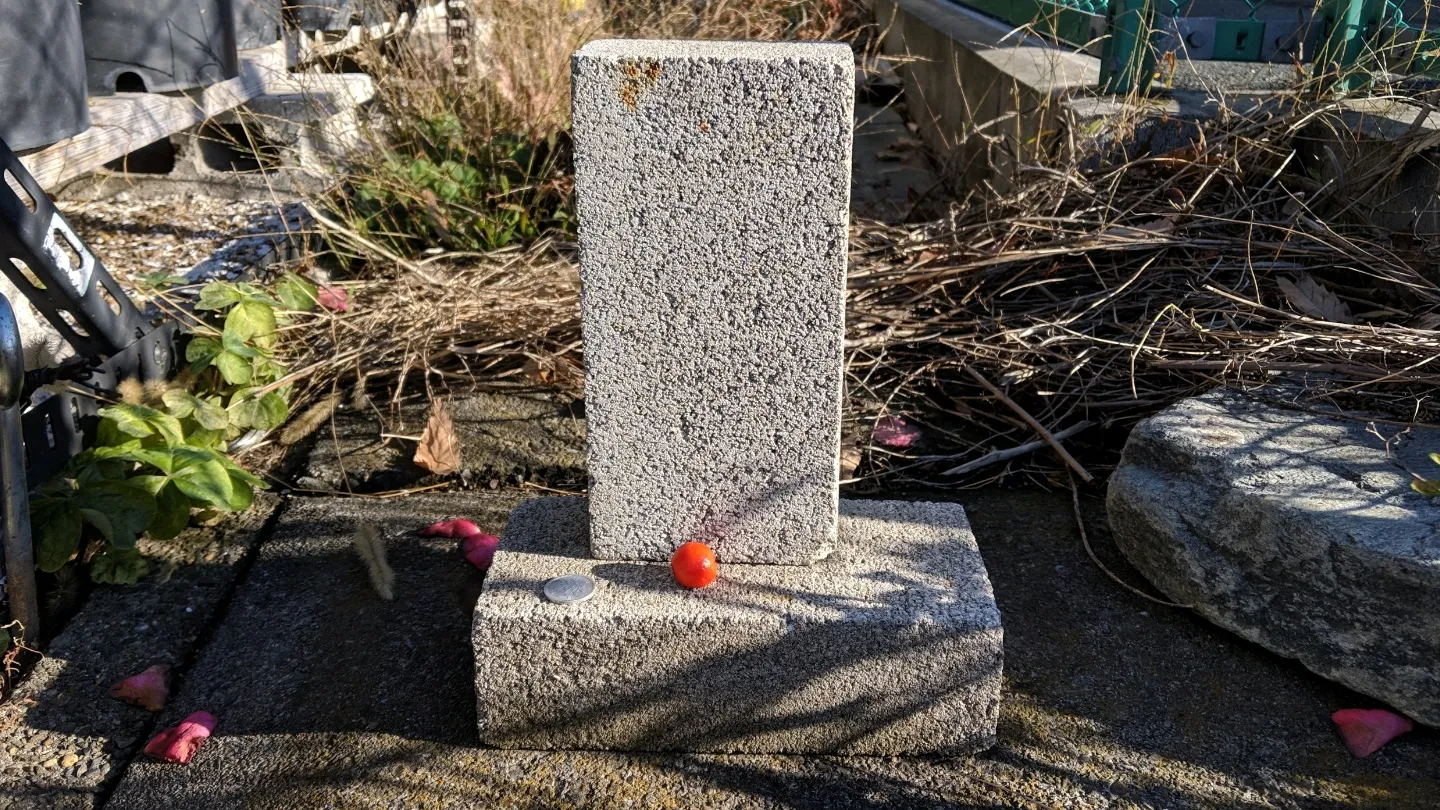 散歩で見つけるあたらしい信仰
