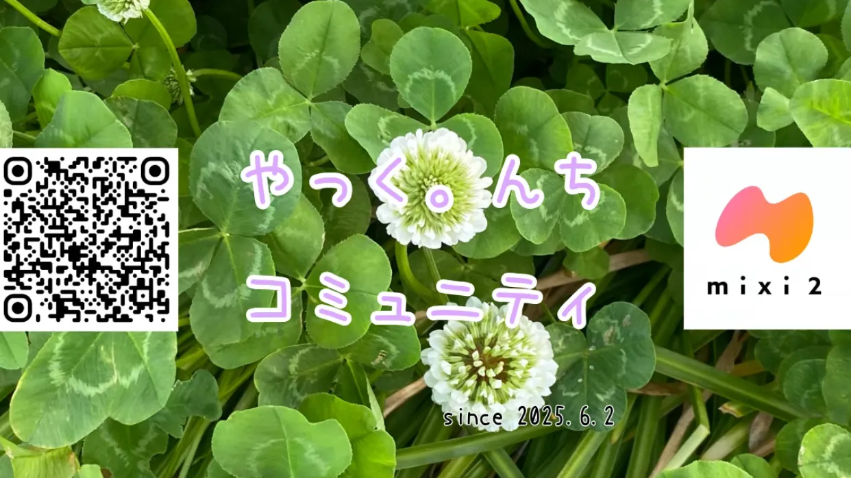 やっく。んち